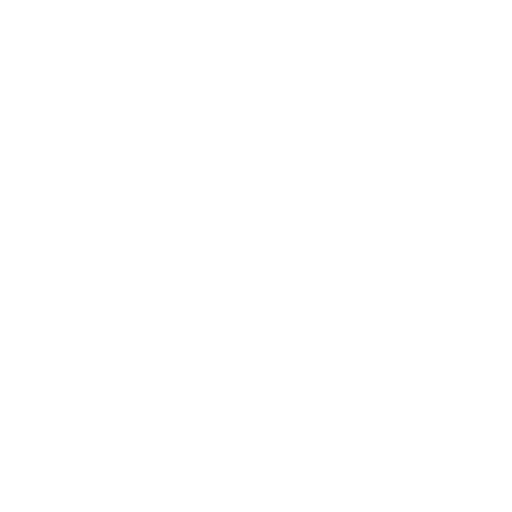 Outline of a spray bottle with a label featuring two leaves, representing eco-friendly or natural cleaning products.