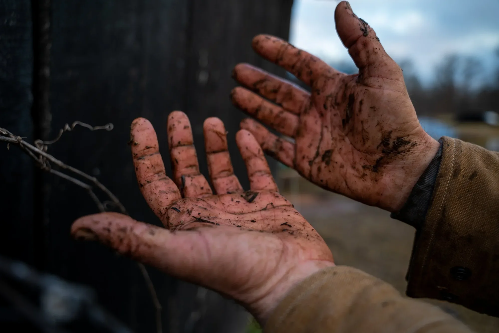 Dirty hands reaching out to grab a vine or branch, with a blurry outdoor background.