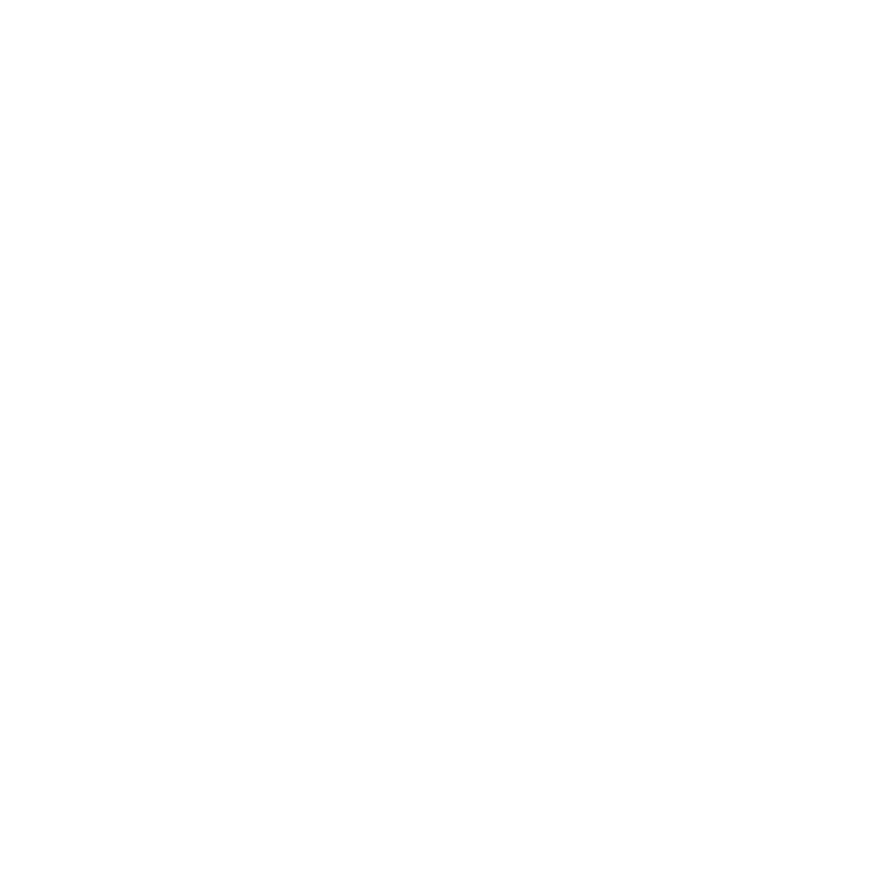 Icon of two batteries, one with a plus sign and one with a minus sign.